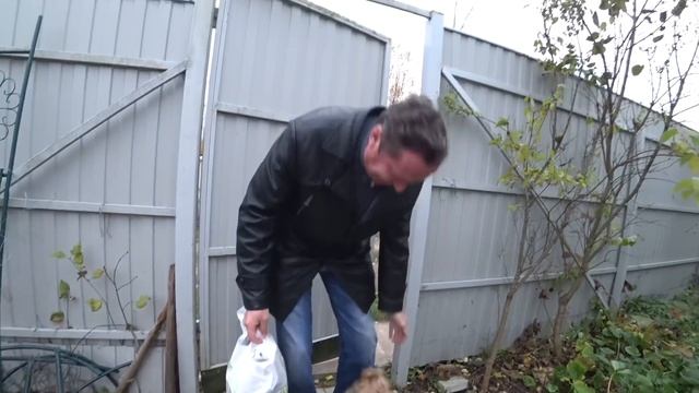 Любанька краса-русская коса / Приехал «Пьеро» / Арбуз и дыни Подмосковья 15 октября 2019 г. смотреть онлайн