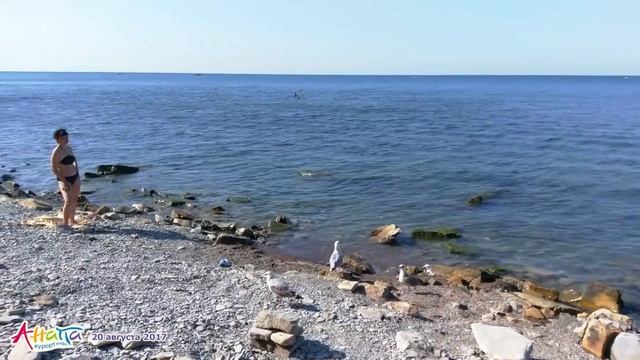 Анапа. Погода 20.08.2017 пляж Тургеневский температура воды Высокий берег смотреть онлайн