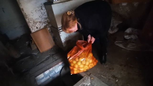 5 серия. Переезд с севера на юг _ Побывали в Простоквашино _ Распаковка покупок. Влог смотреть онлайн