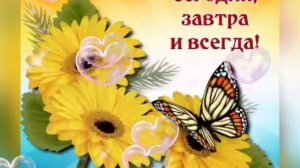 ?Доброго Дня Отличного Настроения! Открытки Добрый День!