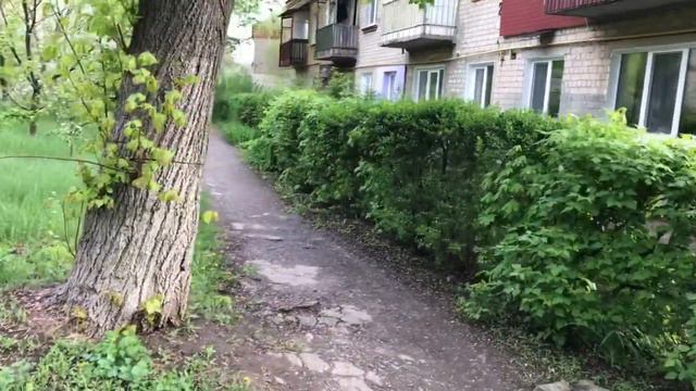 почему мне не удалось выпить какао...🤣😆😀 смотреть онлайн