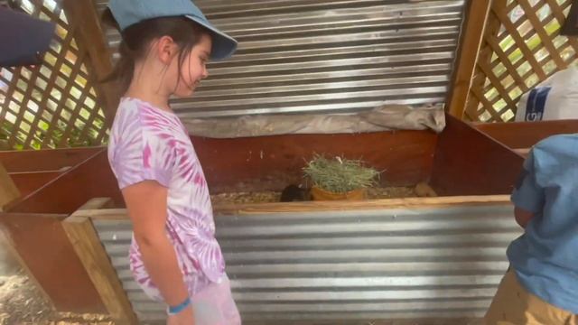 #337  США-ВЛОГ-АМЕРИКАНСКАЯ ФЕРМА -КАК РАЗВЛЕКАЕМ ДЕТЕЙ - ПАСХА В США -USADAY