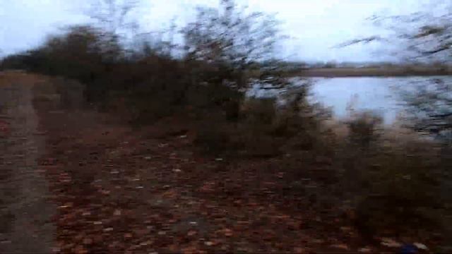 Сегодня добыл утку.Таких я ещё не видел у нас.Огарь.Охота. смотреть онлайн