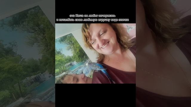 мои животные
Mp4