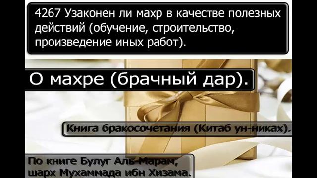 4267 Узаконен ли махр в качестве полезных действий обучение, строительство смотреть онлайн