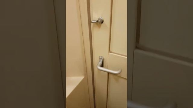 Туалет в новом плацкартном вагоне. смотреть онлайн