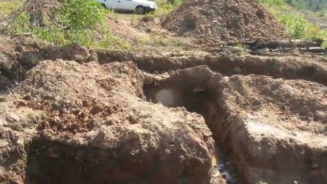 Строим дом в Поместье Кудреватых смотреть онлайн