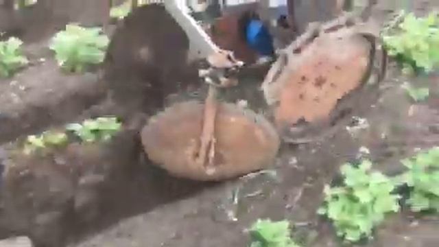 Окучивание дисковым окучником смотреть онлайн