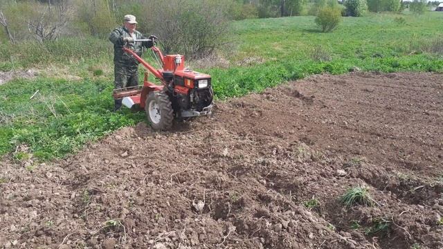 культивируем огород тяжелым дизельным мотоблоком МБ 12 ДЭЛ и мотоблоком carver МТ-900 смотреть онлайн