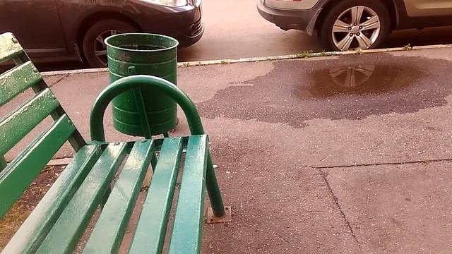 Окольцованный дикий голубь... смотреть онлайн