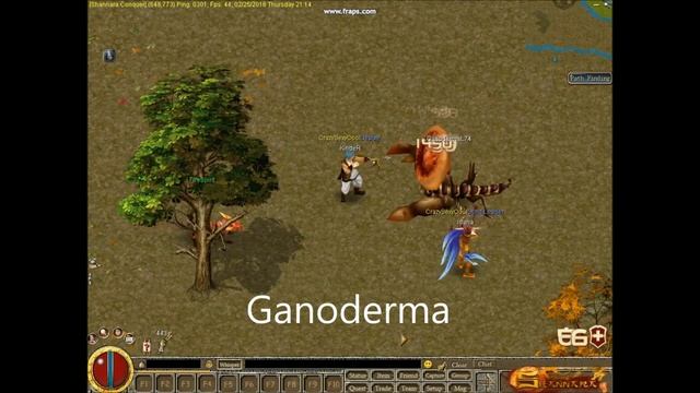 Conquer Shannara ( New Classic Server ) смотреть онлайн