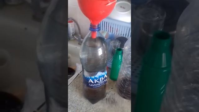 Какой водой поливают свои цветы смотреть онлайн