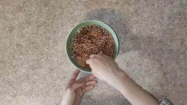 Тайны Вселенной