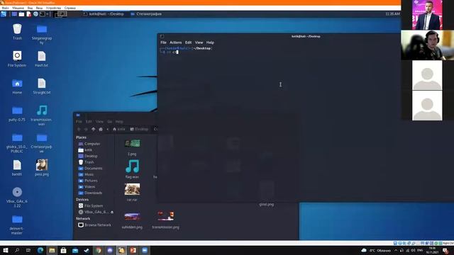 Стеганография - прячем кота в дереве