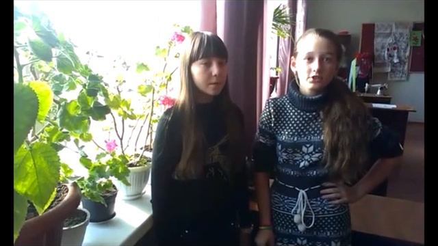 Галерея кімнатних рослин смотреть онлайн