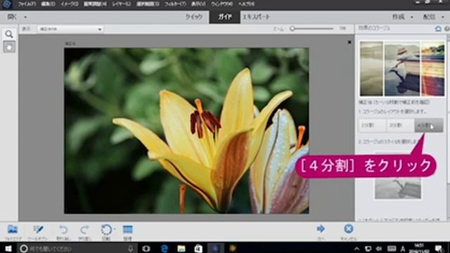 Photoshop Elements 15 - コラージュ画像を作成するには смотреть онлайн