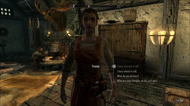 Let's Play Wyrmstooth (Skyrim Mega-Mod - Blind), Part 3: Imperial Mining Settlement смотреть онлайн