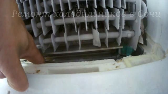 Холодильник Daewoo, не работает холодильная камера. смотреть онлайн