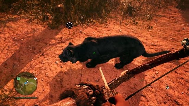 Far Cry Primal Гайд по всем животным смотреть онлайн