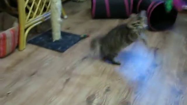 кукша смотреть онлайн