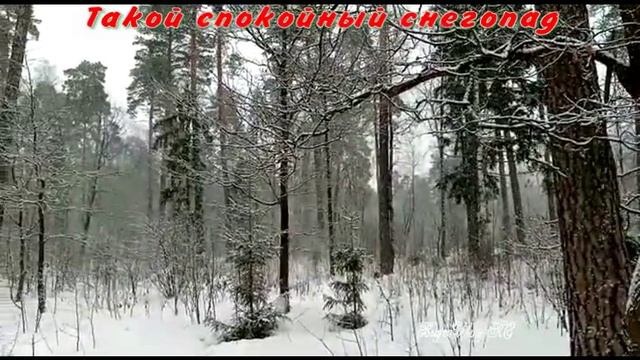 Такой спокойный снегопад. смотреть онлайн