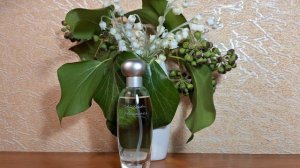 Estee Lauder Pleasures Эсти Лаудер Плэже #esteelauder #парфюмерия #парфюмернаятерапия #asmr #люкс