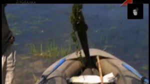 Китайская рыбалка! Смотреть всем рыболовам!