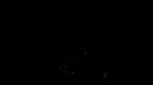 ежик убивает змею