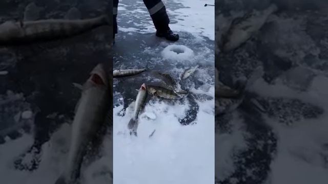 And на 77й базе, 23 февраля 2018 смотреть онлайн