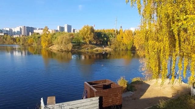 Ландшафтный парк Митино/Осень Золотая/ 4К смотреть онлайн