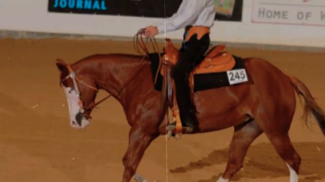 //Lindsey stirling//western equestrian video// смотреть онлайн