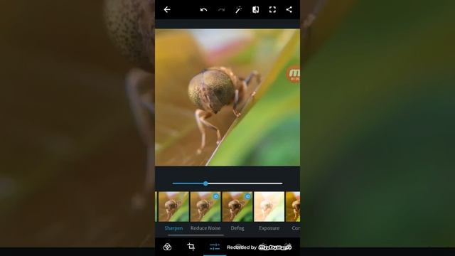 Tutorial edit photos with Adobe Photoshop Express смотреть онлайн