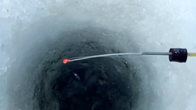 Рыбалка в атлашево зимой смотреть онлайн