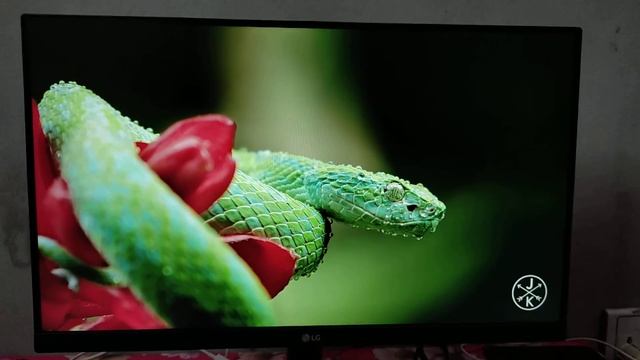 LG 22 inch monitor review BD l LG 22MK600M 21.5 inch IPS Full HD LED Monitor 16k смотреть онлайн