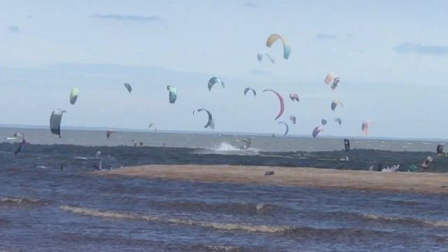 БОЛЬШАЯ ИЖОРА 20.06.2020 КАЙТБОРДИНГ смотреть онлайн