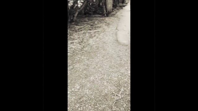 сезон самокатов открыт??? смотреть онлайн