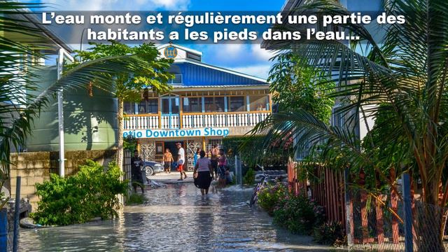 Introduction de l'étude de cas sur les îles kiribati смотреть онлайн