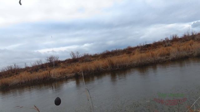 рыбалка в кызылорде осень!!! 2015 змееголова щука. смотреть онлайн