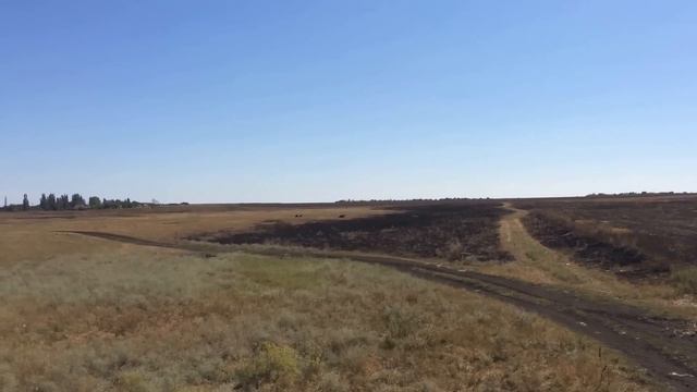 Возле пос НОВОСТРОЙ смотреть онлайн