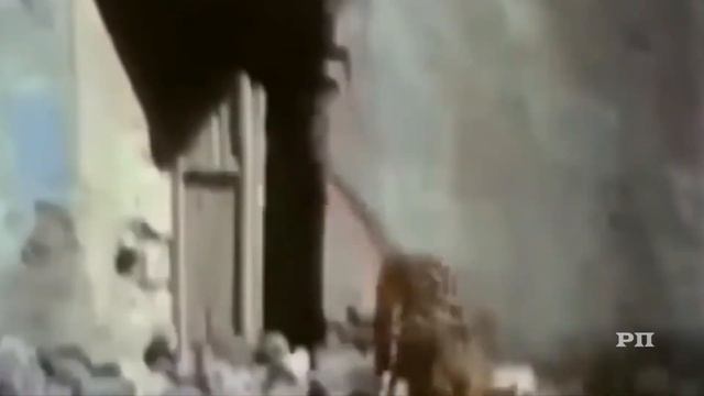 Поединки которые могут стоить жизни - Львы против тигра. Гиена против леопарда #не смотреть онлайн