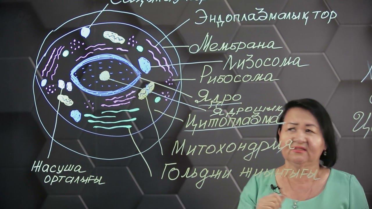 Жасушалық құрылымдар. 1 бөлім. 9 сынып. смотреть онлайн