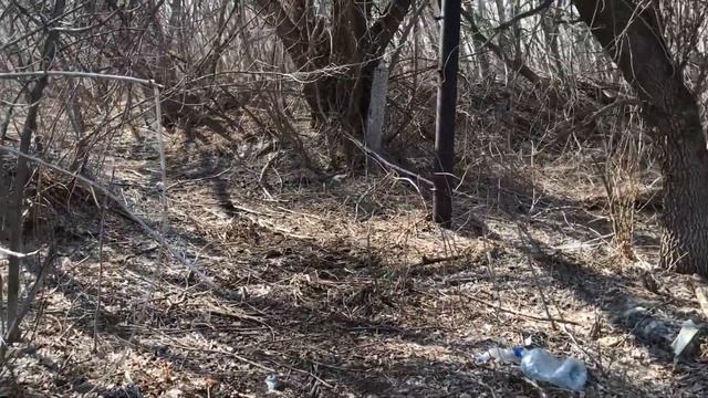 АВТОДРОМ В НОВОКУЙБЫШЕВСКЕ | КАРАНТИННЫЙ ВЛОГ смотреть онлайн