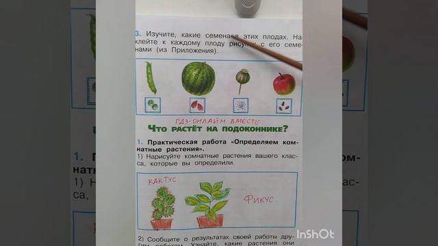 1 класс. ГДЗ. Окружающий мир. Рабочая тетрадь.Часть 1. Плешаков. Страницы 10-11. С комментированием смотреть онлайн