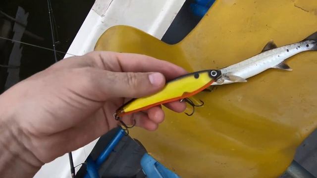 Рыбалка на Шри Ланке. смотреть онлайн