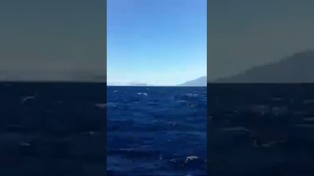 Паруса, ветер, солнце смотреть онлайн