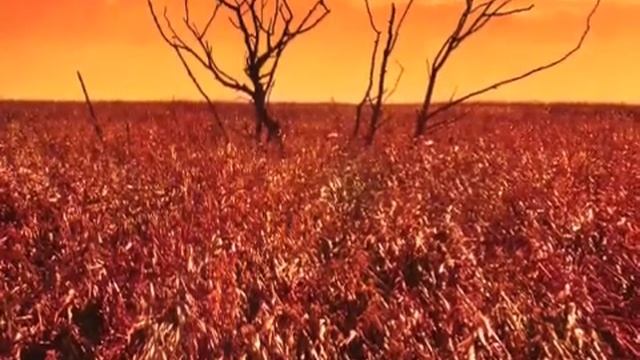 life is short - keep it in technicolor смотреть онлайн