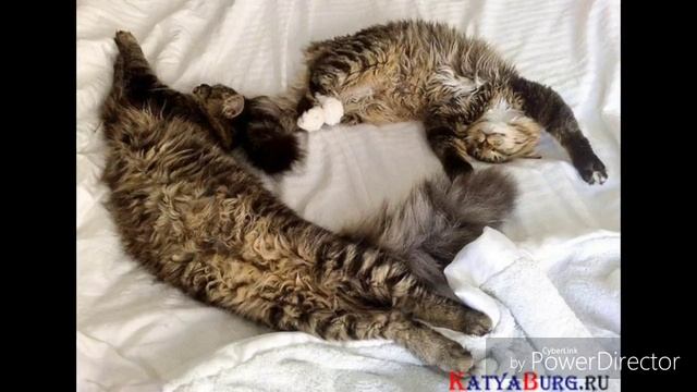 Песенки для сна смотреть онлайн