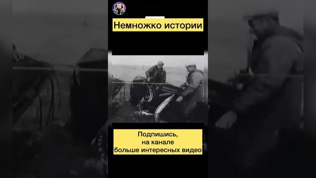 Как ловили осетр в СССР смотреть онлайн