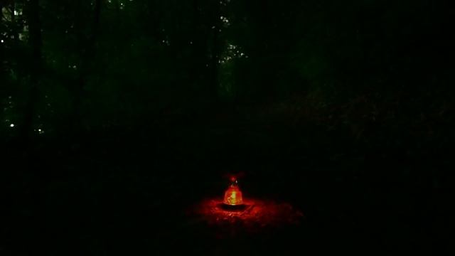 10 hours of gentle rain in the night forest смотреть онлайн
