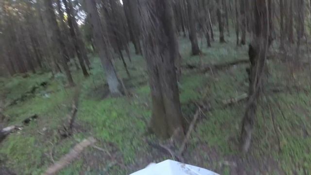 Первый эндуро прохват на Авантис 250 в лесу с бревнами. Получается? смотреть онлайн